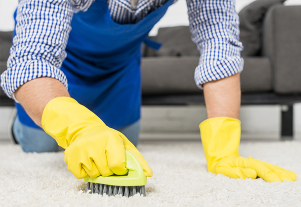 carpet-cleaning carpet-cleaning